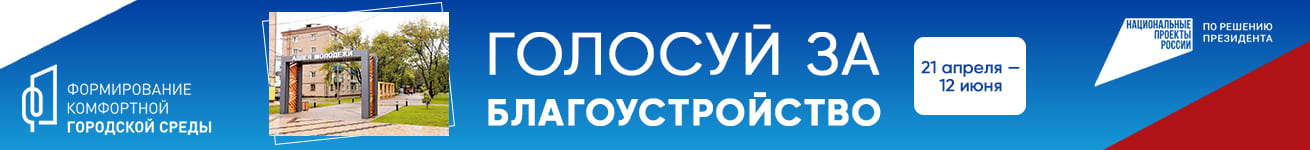 Голосуй за благоустройство