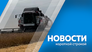 Новости короткой строкой. Василий Орлов провёл рабочую встречу с новым руководителем главного управления МЧС России по Амурской области. На набережной Амура построят современный центр закаливания. На полях ВНИИ сои стартовала уборка урожая пшеницы и овса