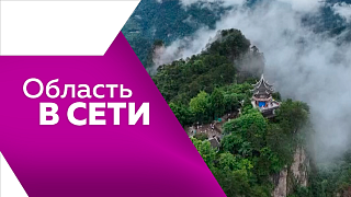 Область в сети. В Благовещенске обновили молодёжный креативный мультицентр. Необычный пернатый гость стал в центре внимания амурчан. Клубничная Луна. Так амурчане назвали первое летнее полнолуние.