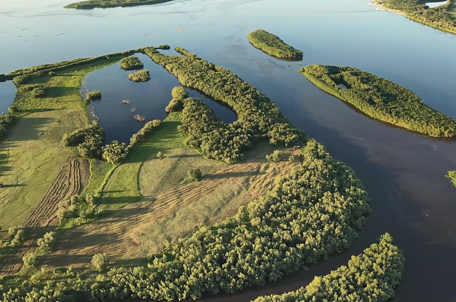 Восемь амурских научных проектов получили гранты Российского научного фонда