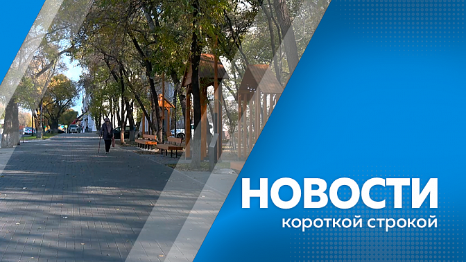 Новости короткой строкой. Участник программы «Герои своего времени» получил должность заместителя главы Свободного. Развитие бизнеса благодаря господдержке. Амурчанин напал на благовещенку возле бара. Синоптики предупреждают об аномальных холодах.