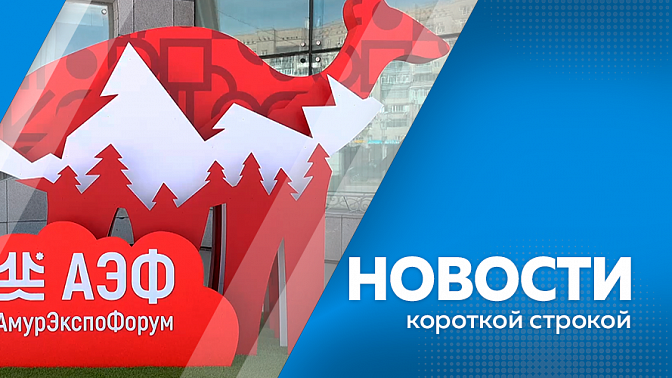 Новости короткой строкой. В Благовещенске и Хэйхэ завершился &quot;АмурЭкспо&quot;. Энергетики продолжают устранять дефекты на магистральном трубопроводе после гидравлических испытаний. Из 11 ветеранов СВО в Ромненском округе семеро уже нашли работу.