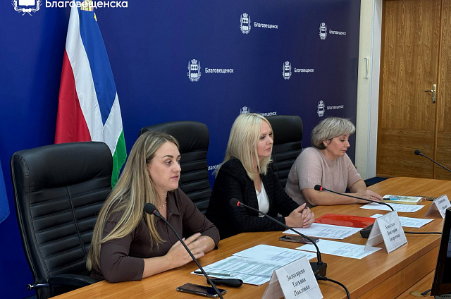 В Благовещенске планируют создать современный комплекс для художников, дизайнеров и IT-специалистов