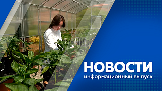 Новости. В Благовещенске почтили память ветеранов боевых действий минутой молчания и возложили цветы к мемориалу «Защитникам Отечества». В Амурской области стартовал набор в 10-е классы. В Благовещенске проведут очный отборочный тур песенного конкурса. 