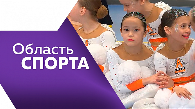 Область спорта. Чемпионат области по баскетболу, первенство региона по хоккею, соревнования по чир спорту.