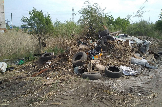 В этом году в Благовещенске обнаружили около 50 несанкционированных свалок