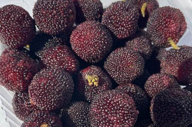 Россельхознадзор проверил более 1800 тонн фруктов, ввезённых из Китая в Приамурье