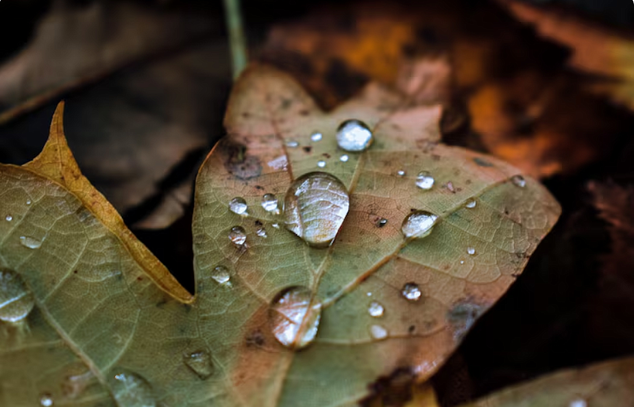 Фото: ru.freepik.com