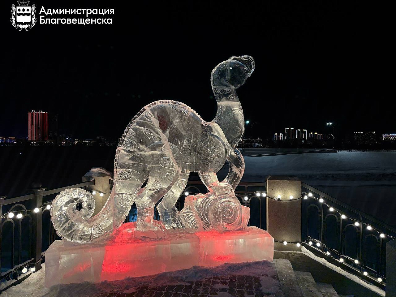 Фото: t.me/blagoveshchensk_rf