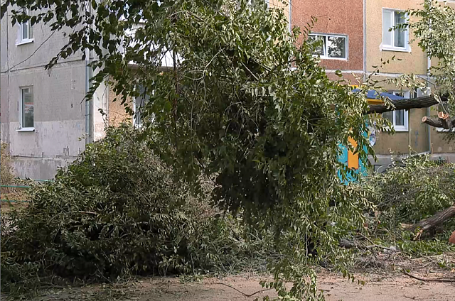 В Экимчане и Шимановске часть домов осталась без света из-за сильного ветра