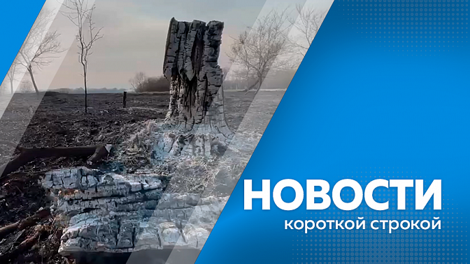 Новости короткой строкой. Опубликована деловая программа российско-китайского экономического форума «АмурЭкспо». В Благовещенске стартовали гидравлические испытания. Пожар в Муравьевском заказнике уничтожил гнезда японских журавлей