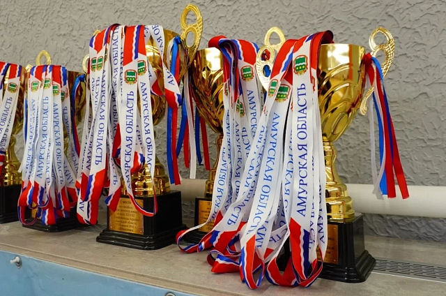 Гандболисты из Зеи выиграли Спартакиаду городов Амурской области