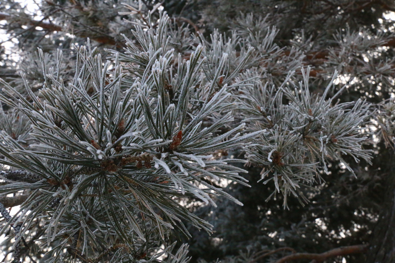 Фото: архив АОТВ