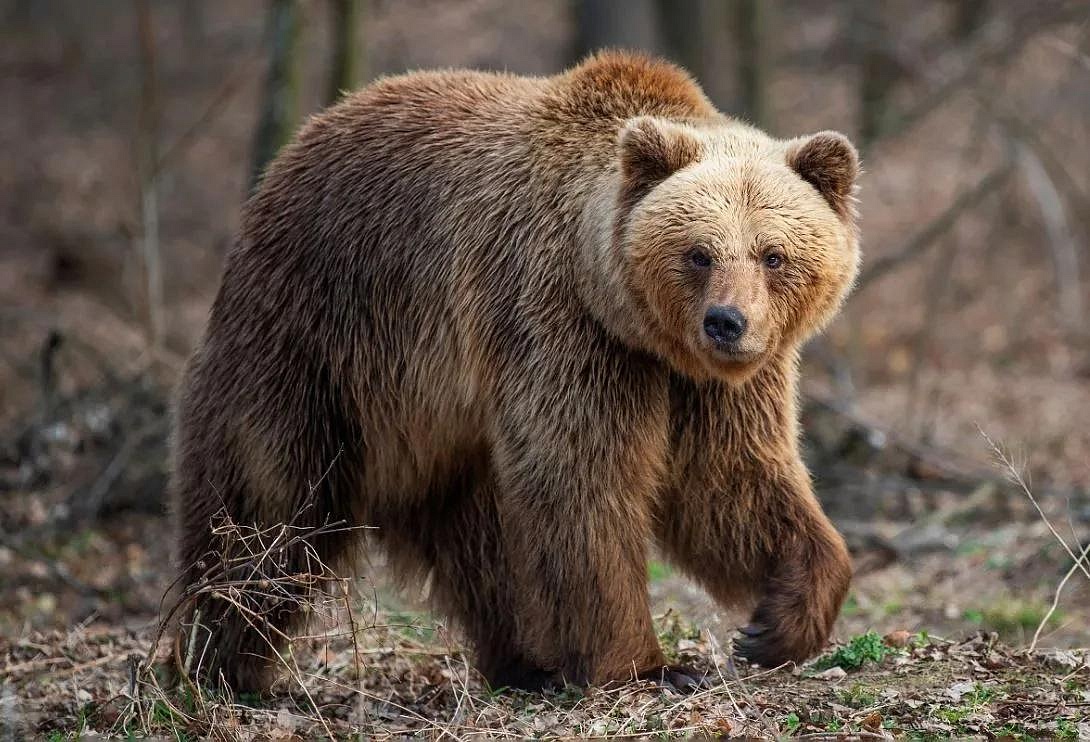 Фото: max.ru/id2801135236_gos