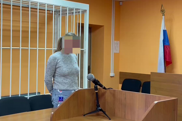 Публичное оправдание терроризма в соцсетях амурчанки привлекло внимание регионального УФСБ России