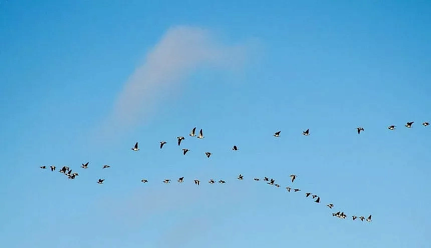 Фото: max.ru/id2801135236_gos  