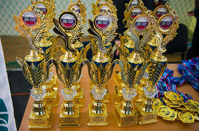 Амурчане завоевали четыре медали по спортивной борьбе на международном турнире «Кубок у моря»