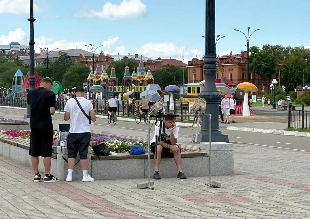 Фото: АОТВ