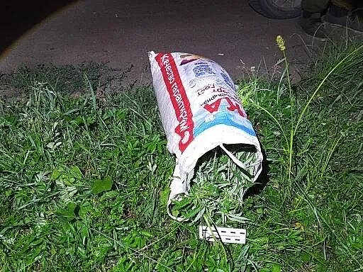 Фото: max.ru/mvd28