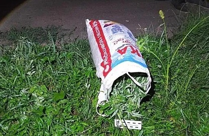 В Приамурье стартовала операция «Мак-2026» по борьбе с наркорастениями