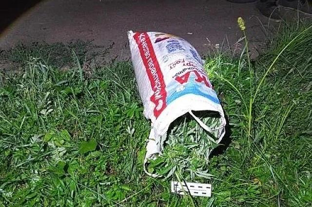 В Приамурье стартовала операция «Мак-2026» по борьбе с наркорастениями