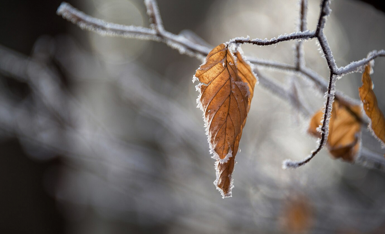 Фото: ru.freepik.com