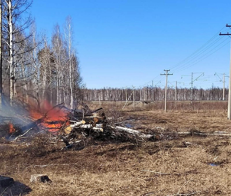 Фото: правительство Амурской области