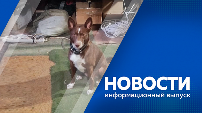 Новости. Амурская область получит федеральное финансирование. Энергетики ужесточают меры борьбы с неплательщиками за электричество и тепло. Как подготовить дачный участок к зиме. Волонтеры помогли вывезти собаку из зоны боевых действий.