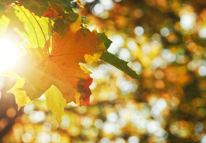 Фото: ru.freepik.com