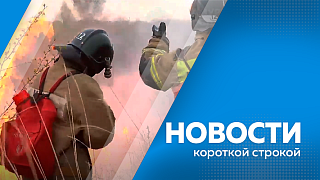 Новости короткой строкой. В Благовещенске открылись кабинеты социальных работников при женских консультациях. В Зее загорелся заброшенный склад. В столице Приамурья начался ремонт улиц Школьной и Василенко. Особый противопожарный режим в Приамурье отменят