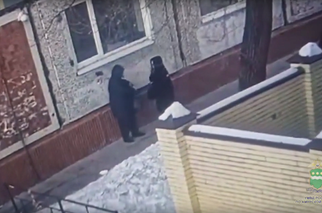 «Ласточка в небе»: москвичка похитила 22 миллиона у благовещенской пенсионерки