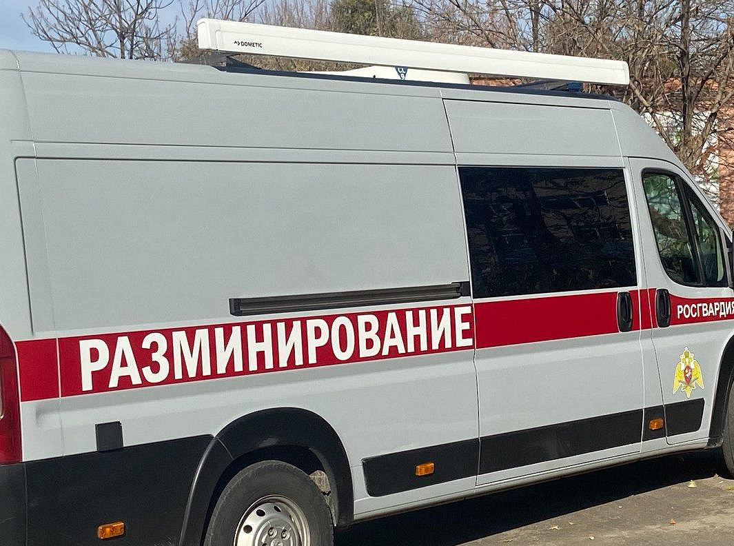 Фото: Татьяна Карпенко