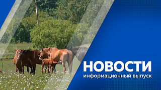 Новости. В Свободном проектируют новый комплекс для сортировки до 50 тысяч тонн отходов в год. Жители Серышевского округа построили на бесплатном участке земли ипподром. В селе Ерковцы провели праздник «Мир нашему дому».
