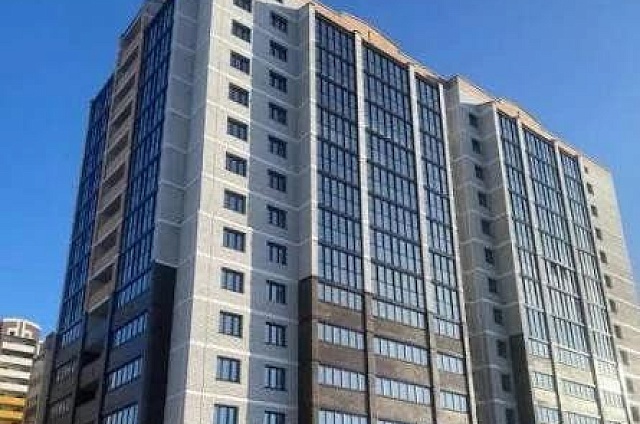 Дом-гигант и выставочный зал появились в реестре недвижимости Приамурья