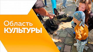 Область культуры. «День фронтовой собаки» в МВЦ «Дом Котельникова». Открылась выставка памяти амурских героев в китайском уезде Суньу. Парные муралы, которые объединят культуру и традиции России и КНР. Ансамбль «Ровесники» выступил в Сербии.