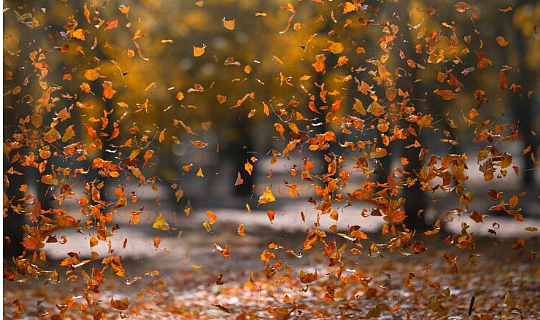 Фото: ru.freepik.com