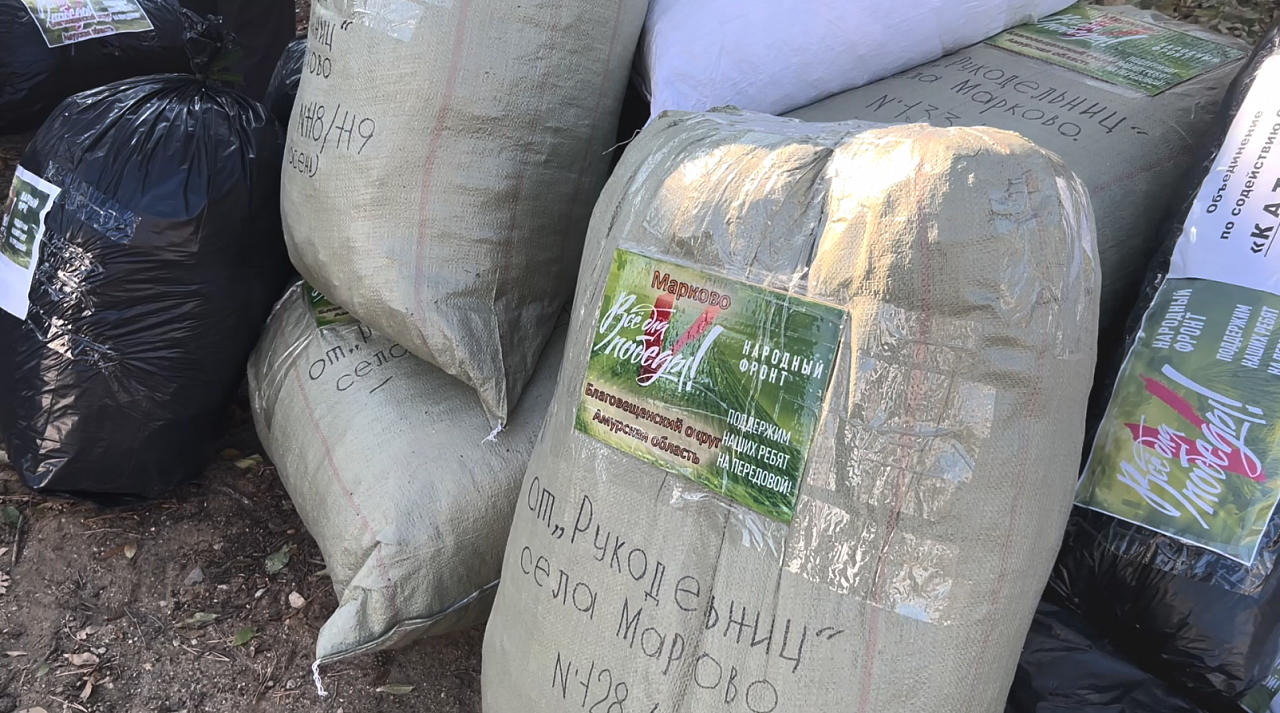 Фото: Амурское отделение Народного фронта