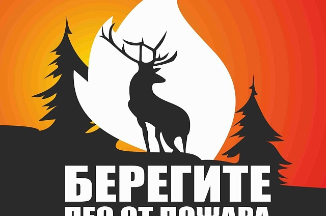 Спаси лес: конкурс социального плаката объявили в Приамурье