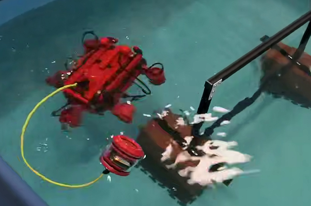 Глубины технологий: В Благовещенске стартовал чемпионат подводных роботов