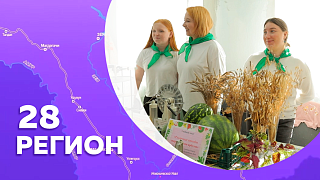 Регион 28. Сергеевка