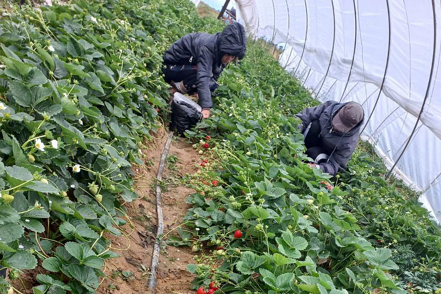 Фото: правительство Амурской области