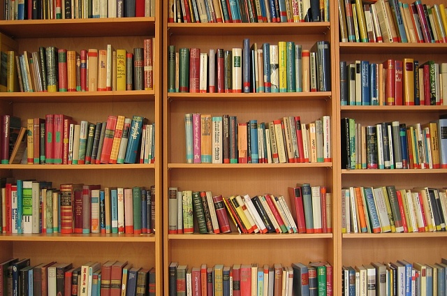 «Диалог о демографии»: в Благовещенске откроется девятая модельная библиотека 