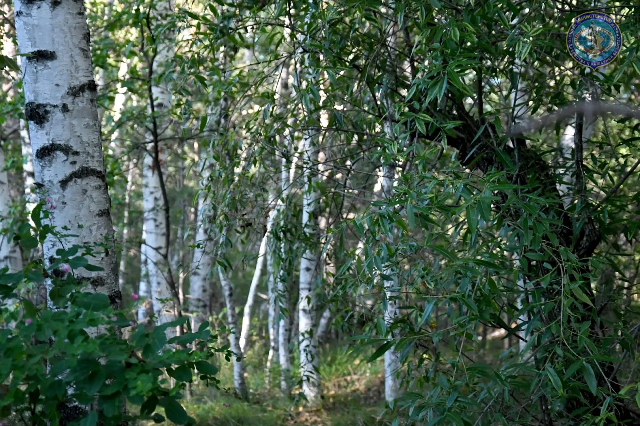 Фото: max.ru/id2801138780_gos