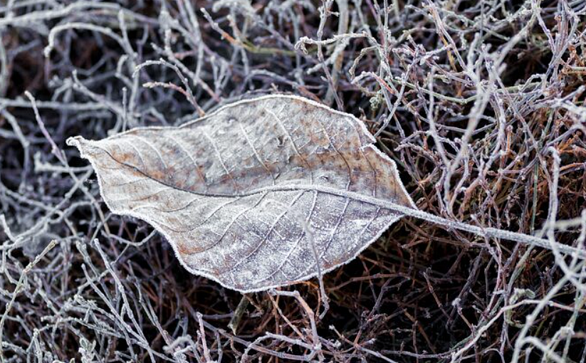 Фото: ru.freepik.com