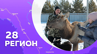 Регион 28. Село  Грибское