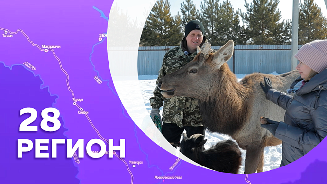 Регион 28. Село  Грибское