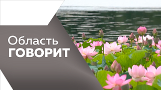 Область говорит. В областном центре Приамурья начала работать интеллектуальная система фотовидеофиксации нарушений ПДД. К 1 сентября в Амурской области планируют открыть более 50-ти современных школьных кафе. В селе Грязнушка прошел большой фестиваль.