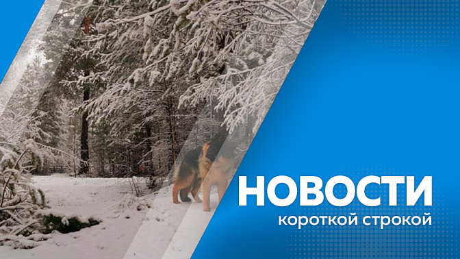Новости короткой строкой. Делегация Амурской области работает на Харбинской международной ярмарке. На севере Приамурья вновь выпал снег. В «Дирекции космодрома «Восточный» обозначили основные задачи по развитию Циолковского.