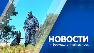Новости. В Приамурье идет уборка ранних зерновых: ячменя и овса. Сто единиц техники отправили амурским бойцам в зону СВО. Молодые немецкие овчарки пополнили ряды кинологической службы УФСИН России по Амурской области.