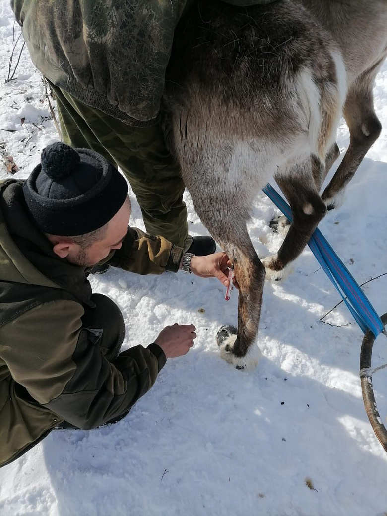 Фото: Управление ветеринарии Амурской области